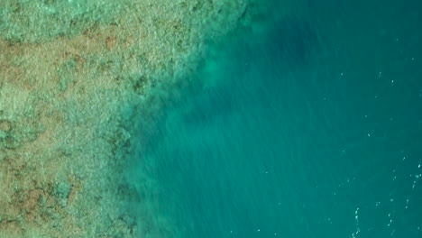 Aerial-right-tracking-vertical-shot-above-amazing-turquoise-water-and-coral-reefs-of-New-Caledonia