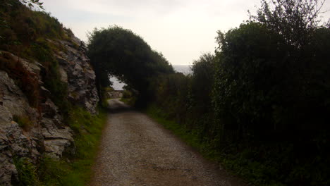 wide-shot-of-trees-over-growing-country-lane-on-to-rocks-at-Bessy's-Cove,-The-Enys,-cornwall