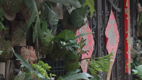 Traditionelle-Chinesische-Tür-Mit-Wandpflanzen-Und-Tor