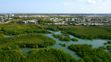 Beautiful-drone-shot-flying-over-mangroves-overlooking-coastal-seaside-suburb