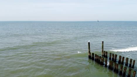 Seagull-flying-towards-a-pole-of-a-groyne-in-the-Netherlands-with-a-small-boat-in-the-background