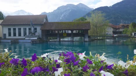 Interlaken-Immersive-POV:-Moving-Through-Early-Morning-City-Streets-In-Switzerland,-Europe,-Walking-|-Moving-Past-Very-Close-Flowers-on-Iconic-Bridge-with-Famous-View