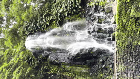 Vertikale-Reine-Naturaufnahme-Eines-Wasserfalls-In-Ribeira-Dos-Caldeiros,-Azoreninsel