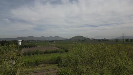 Plantación-De-Nogales-En-La-Comuna-De-Buin-Chile