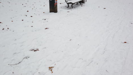Park-bench-under-the-snow-HD-Berlin-Germany-Wintertime-6-secs-60-FPS