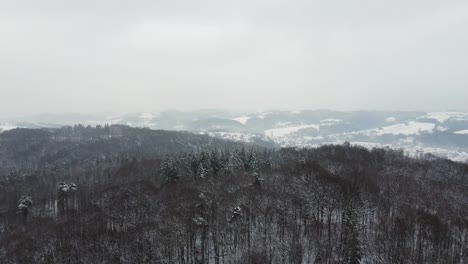 Hermoso-Paisaje-Cubierto-De-Nieve-Durante-El-Invierno