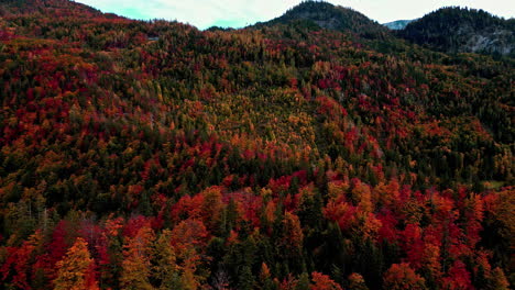 Eine-Sanfte-Aufnahme-Eines-Farbenfrohen-Waldes-In-Einer-Bergregion-Und-Eines-Bewölkten-Himmels-Aus-Einem-Niedrigen-Winkel