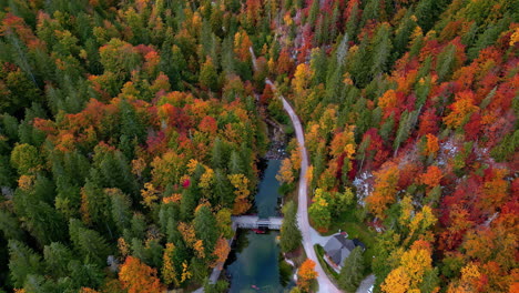 Aerial-of-scenic-road-through-autumn-foliage-park-in-the-Austrian-Alps,-Europe
