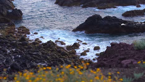 Splashes-of-water-towards-the-rocky-shore-with-plants-and-orange-flowers-in-the-foreground,-static-handheld