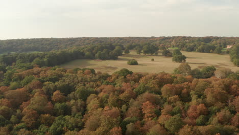 Aerial-shot-over-woodland-and-grassland-of-an-english-park