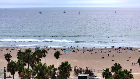 Flying-over-the-palm-tees-to-reveal-Venice-Beach-in-California,-sail-boats-out-in-the-ocean