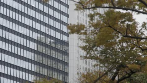 Wolkenkratzer-Bürogebäude,-Nishi-Shinjuku,-Tokio,-Japan
