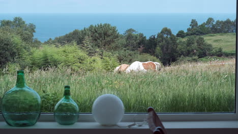 horse-grazing-near-the-ocean,-visible-through-a-window-with-decorative-glass-bottles-in-the-foreground