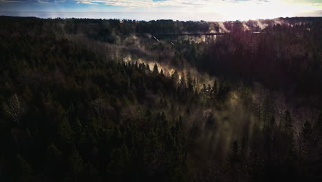 Nebliger-Morgen-über-Einigen-Bäumen-Und-Einem-Fluss,-Aufgenommen-Von-Einer-Drohne-In-4k-60fps