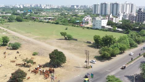 RAJKOT-CITY-AERIAL-VIEW-The-camera-is-moving-forward-where-there-are-many-high-rise-buildings