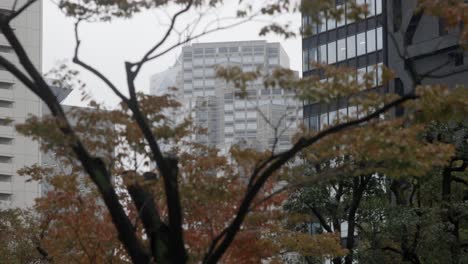 Edificio-Del-Gobierno-Metropolitano-De-Tocho-Tokio,-Nishi-shinjuku,-Tokio,-Japón
