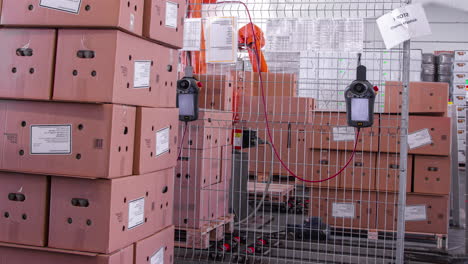 Boxes-of-packaged-eggs-sent-out-from-the-factory---time-lapse