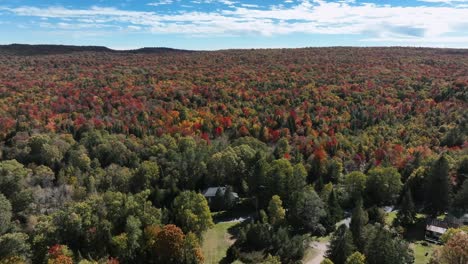 Aerial-View-Of-Dense-Forest-With-Autumn-Colors-On-A-Sunny-Day