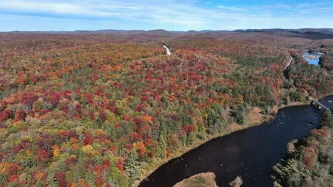 Herbstfärbung-Im-Dichten-Wald-Mit-Fluss-Tagsüber