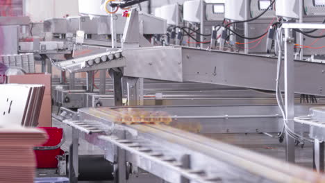 Factory-loading-and-packaging-cartons-with-fresh-eggs---time-lapse
