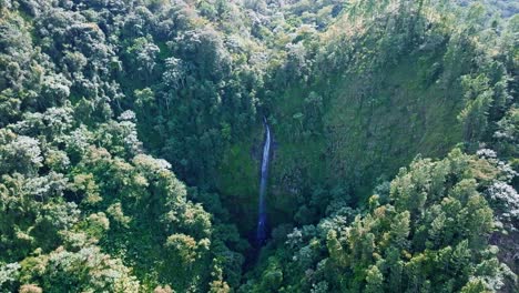 Aerial-forward-Salto-del-Rodeo-waterfall-in-the-Dominican-Republic,-rainforest