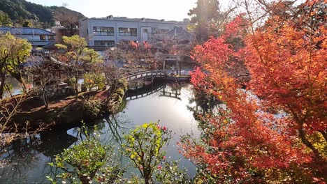 Wunderschöne-Herbstansicht-Des-Hojo-Teichs-Am-Eikando--Oder-Zenrin-Ji-Tempel-In-Kyoto,-Japan