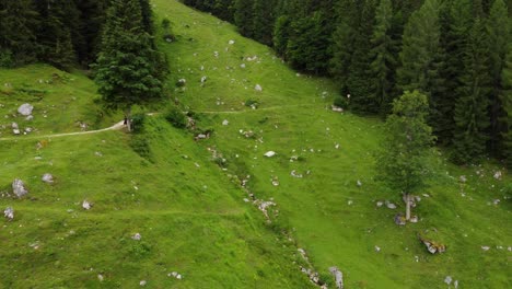 Pequeña-Cabaña-En-Los-Alpes-Austriacos-Rodeada-De-Campos-Verdes-Y-Un-Bosque.