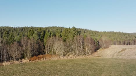 Ein-Ausblick-Auf-Einen-Nadelwald-Und-Eine-Wiese-Im-November-In-Indre-Fosen,-Kreis-Tröndelag,-Norwegen-–-Drohne-Fliegt-Vorwärts