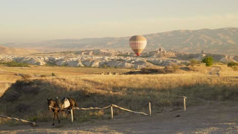 Heißluftballon,-Malerische-Landschaft,-Pferdetourismus,-Erlebnisse