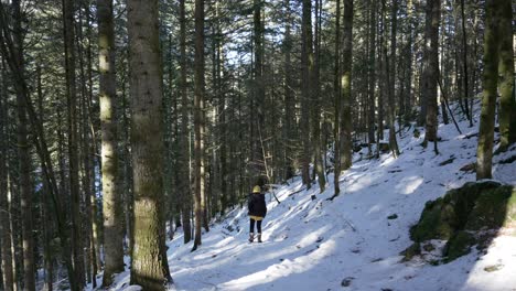 Young-woman-on-a-hiking-trip-heads-down-a-tree-lined-snow-covered-path-in-the-Vosges-Forest