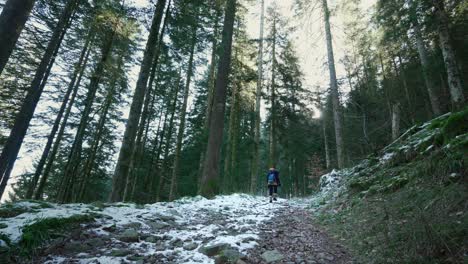 A-solitary-lone-hiker-works-her-way-through-the-Vosges-Forest-winter-trails