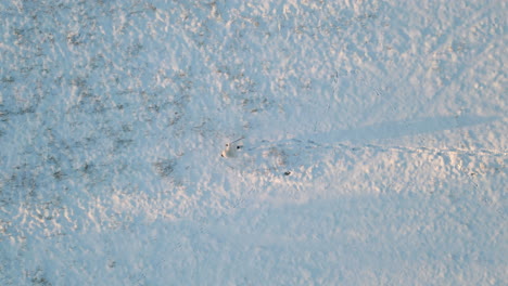 Man-walking-through-snow-covered-field,-top-down-aerial-view