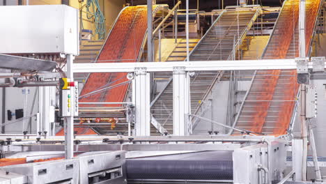The-conveyor-line-with-cardboard-egg-trays-in-a-packaging-factory