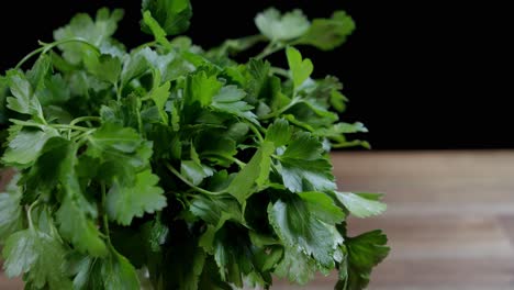 Green-and-fresh-bundle-of-parsley,-key-ingredient-in-crafting-chimichurri,-argentine-sauce