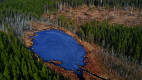 Toma-De-Drone-De-Un-Pequeño-Lago-Congelado-En-El-Bosque-En-Suecia
