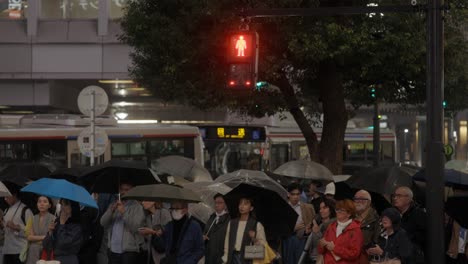 Pedestrian-Crossing-Traffic-Light-turning-green-and-People-waiting,-Shibuya-at-Night,-Tokyo,-Japan