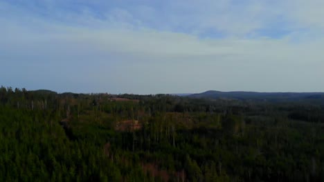 Drone-shot-panning-over-some-woods-in-Sweden