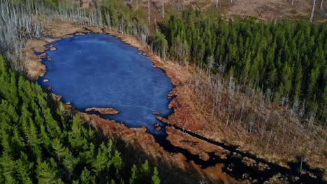 Toma-De-Drone-De-Un-Pequeño-Lago-Congelado-En-El-Bosque-En-Suecia