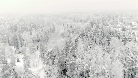 Aerial-drone-forward-moving-shot-over-a-winding-road-through-surrounded-by-snow-covered-coniferous-forest-on-a-cloudy-day
