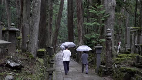 Couple-Holding-Umbrellas-Walking-Along-Path-At-Okunoin-Cemetery-In-Koya-San