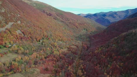 Aerial-view-of-colorful-trees-during-autumn-in-the-French-Pyrenees-mountains