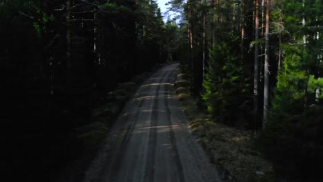 Drone-shot-of-an-empty-gravel-road-in-the-middle-of-the-woods-in-Sweden