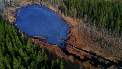 Drone-shot-of-a-small-frozen-pond-in-the-wild