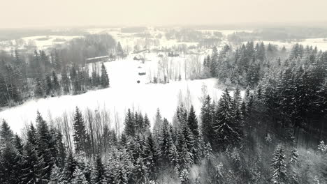 Aerial-drone-forward-moving-shot-over-snow-covered-coniferous-forest-on-a-cold-winter-day