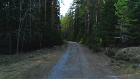 Drohnenschuss-Fliegt-Tief-Auf-Einer-Leeren-Schotterstraße-Im-Wald-In-Schweden