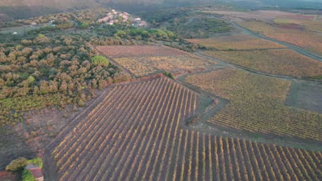 Aerial-view-of-vineyards-during-autumn-with-small-towns-in-the-background-in-France