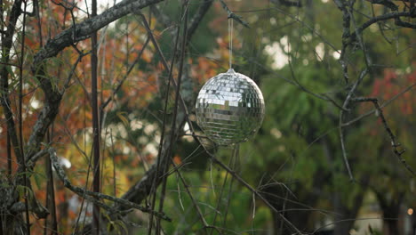 Sparkly-disco-ball-hanging-from-tree