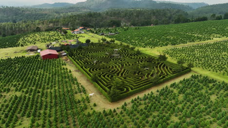 Luftaufnahme-In-Richtung-Eines-Gartenlabyrinths,-Auf-Dem-Land-Von-Puebla,-Bewölktes-Mexiko