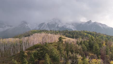 Wunderschöne-Luftlandschaft-Der-Colorado-Rocky-Mountains-Und-Des-Einheimischen-Waldes