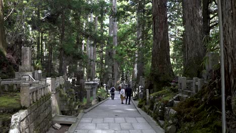 Tourists-Walking-Along-Path-At-Okunoin-Cemetery-In-Koya-San-Surrounded-By-Tall-Cedar-Trees